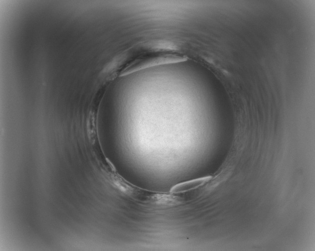 X0000066940528200603241145