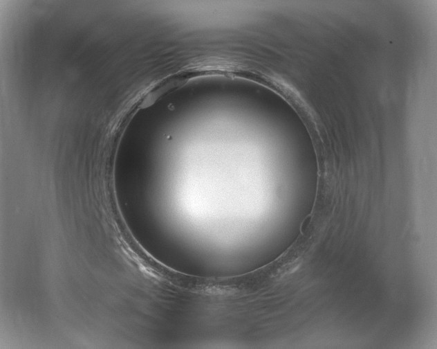 X0000066940529200603241144