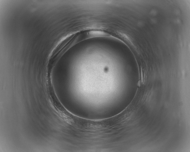 X0000066940531200603241144