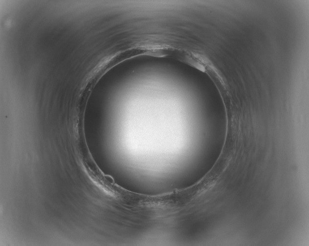 X0000066940533200603241144