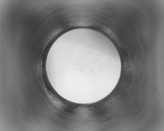 X0000066940534200603241144