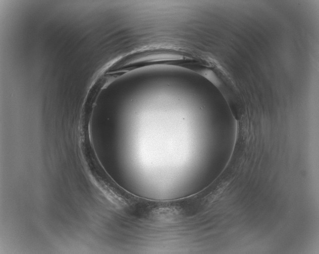 X0000066940536200603241144