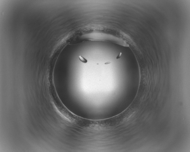 X0000066940538200603241144