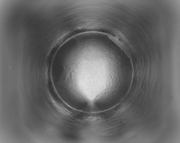 X0000066940542200603241145