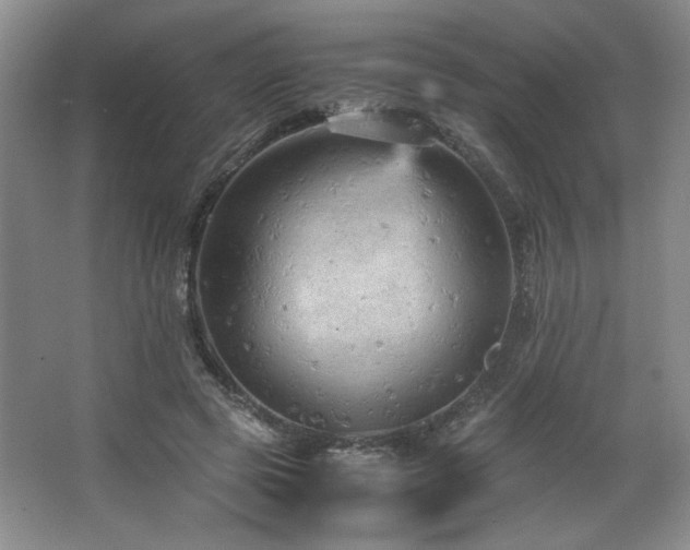 X0000066940545200603241145