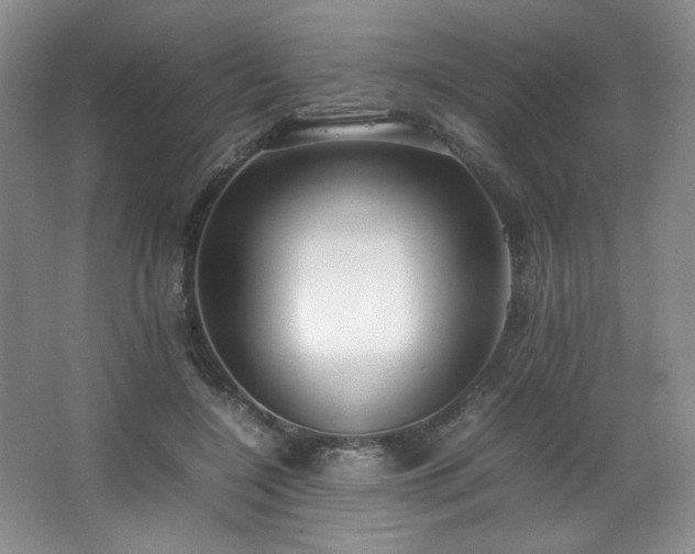 X0000066940548200603241145