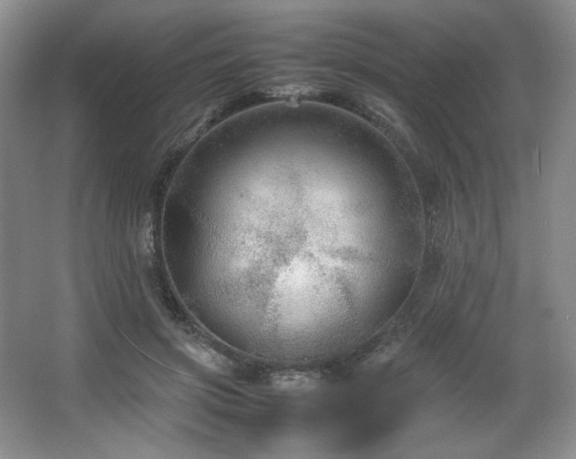 X0000066940549200603241145