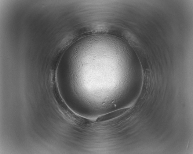 X0000066940550200603241145