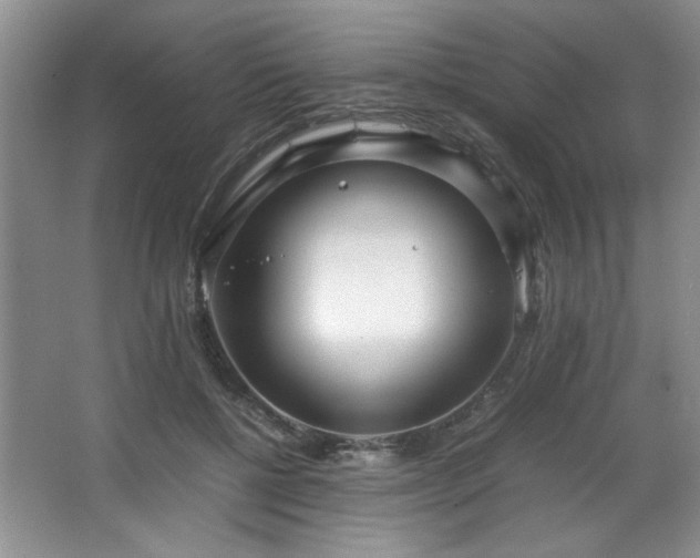 X0000066940552200603241145