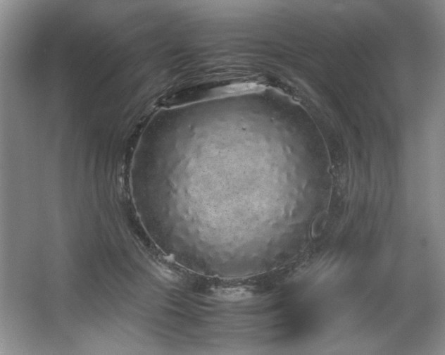 X0000066940553200603241145