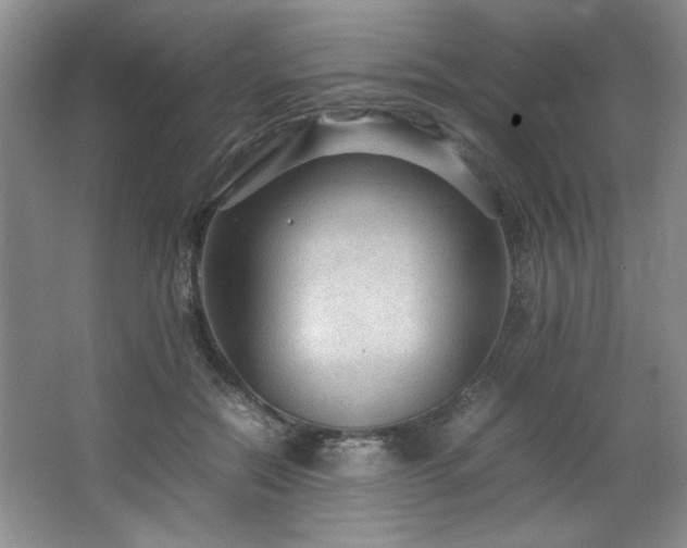 X0000066940554200603241145