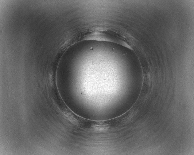 X0000066940556200603241145