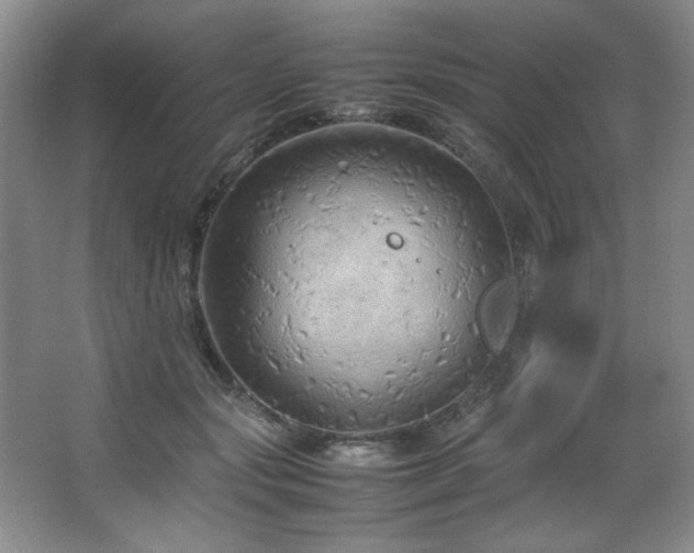 X0000066940557200603241145