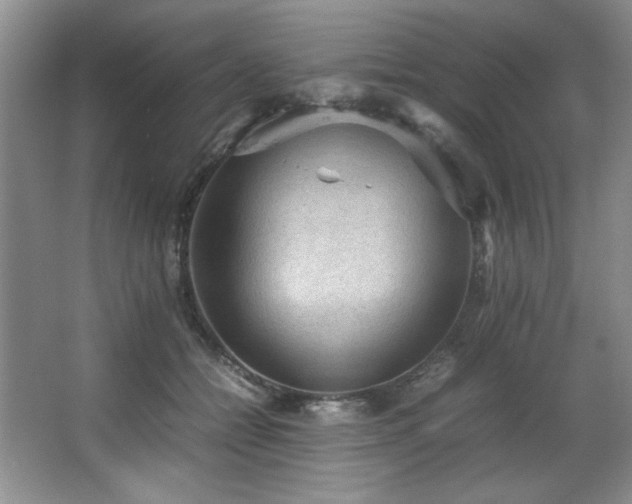 X0000066940558200603241145