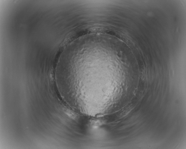 X0000066940561200603241145