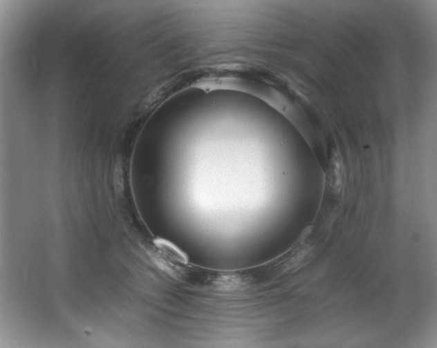 X0000066940562200603241145