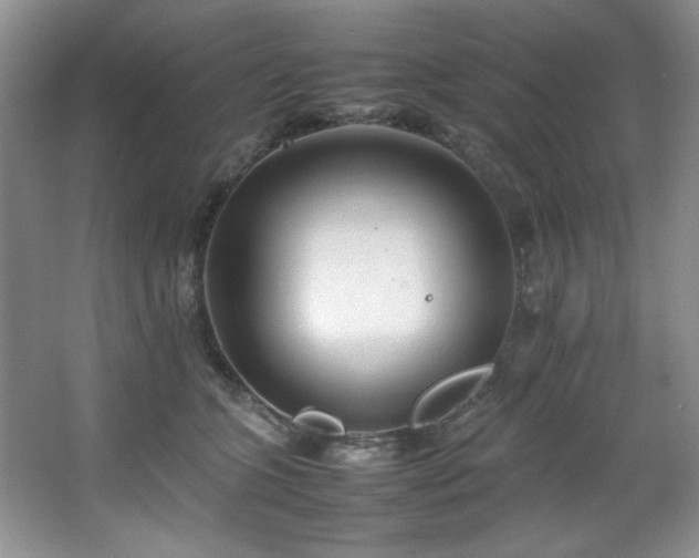 X0000066940563200603241145