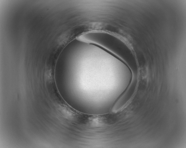 X0000066940564200603241145