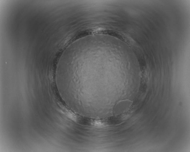 X0000066940565200603241145