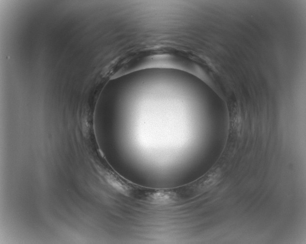 X0000066940566200603241145