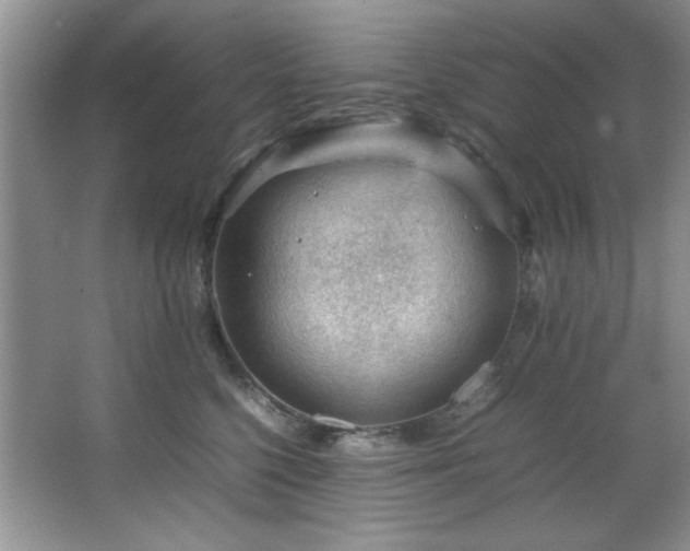 X0000066940568200603241145