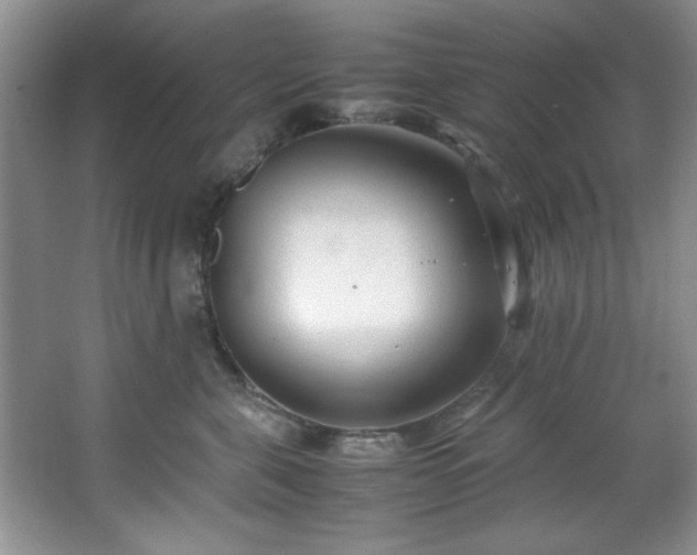 X0000066940571200603241145