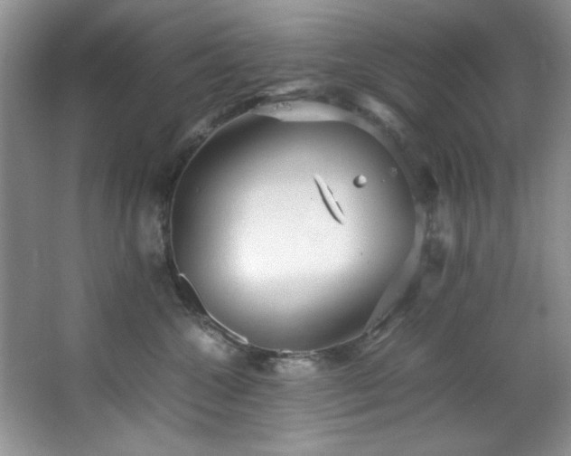 X0000066940572200603241145