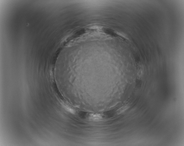 X0000066940573200603241145