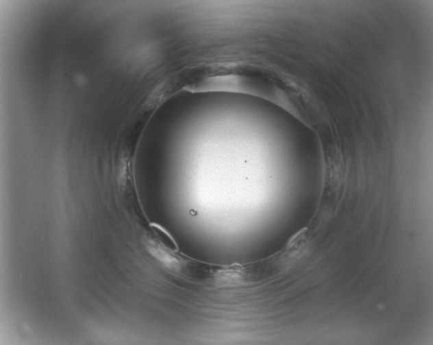 X0000066940574200603241145