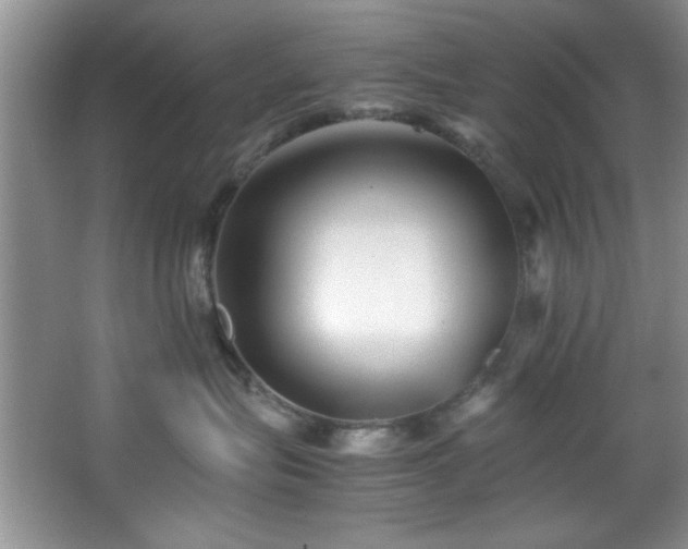 X0000066940575200603241145