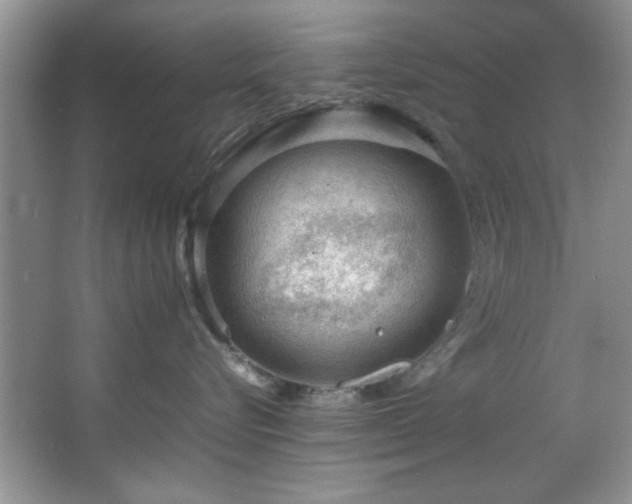 X0000066940576200603241145