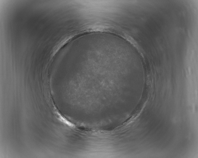 X0000066940577200603241144