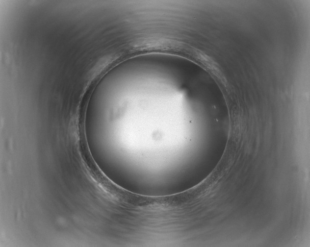 X0000066940578200603241144