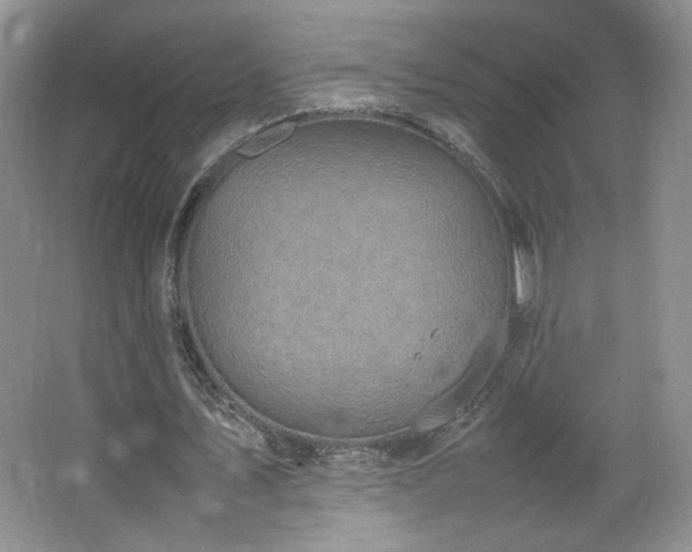 X0000066940579200603241144