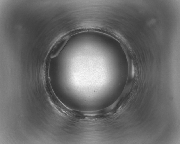 X0000066940580200603241144