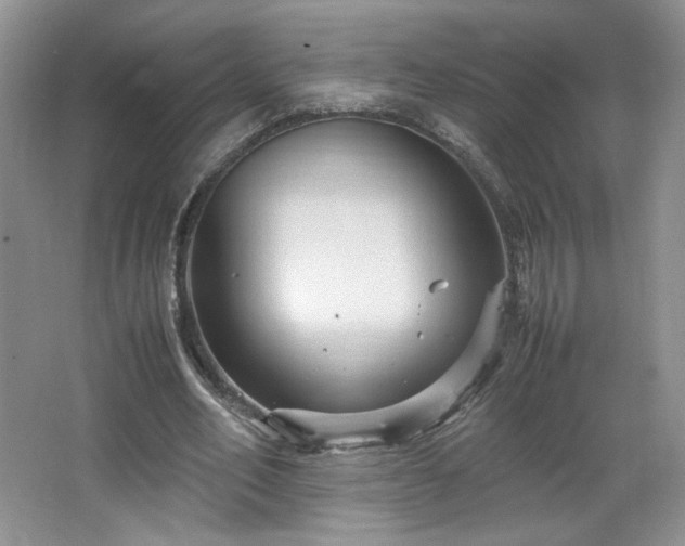 X0000066940582200603241144