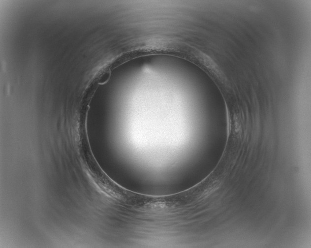 X0000066940588200603241144