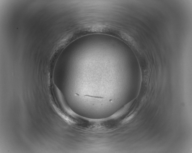 X0000066940589200603241144