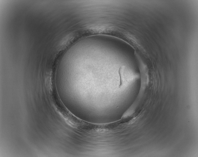 X0000066940590200603241144