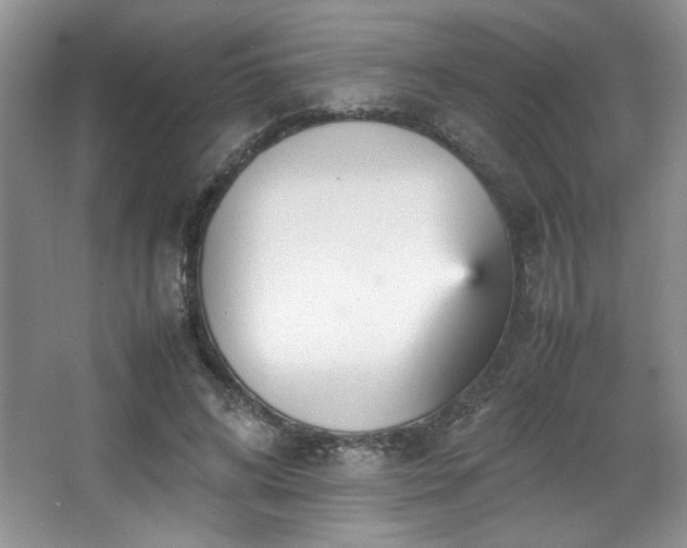 X0000066940592200603241144