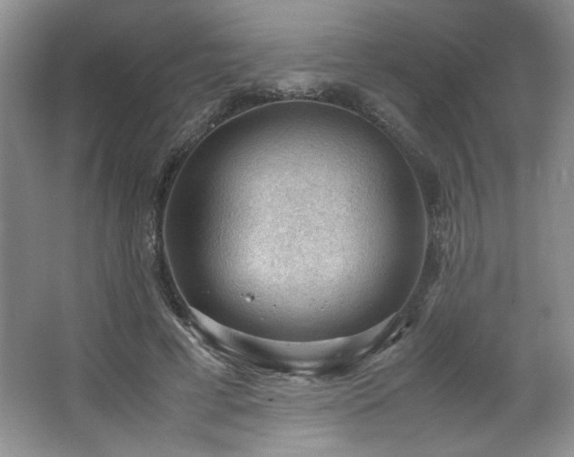 X0000066940593200603241144