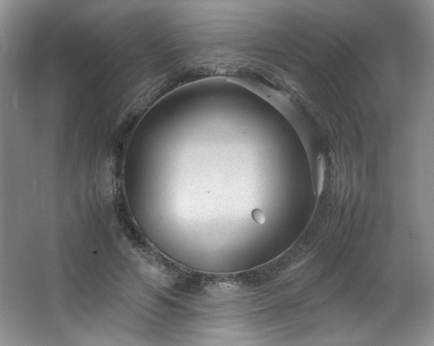 X0000066940594200603241144