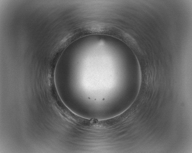 X0000066940596200603241144