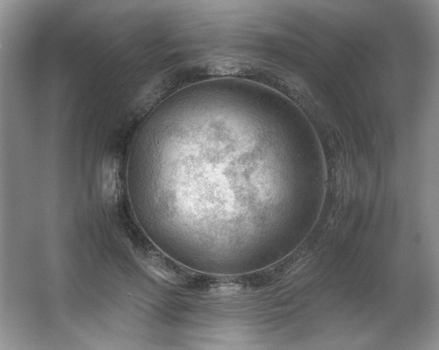 X0000066940598200603241144