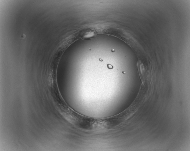 X0000066940599200603241144