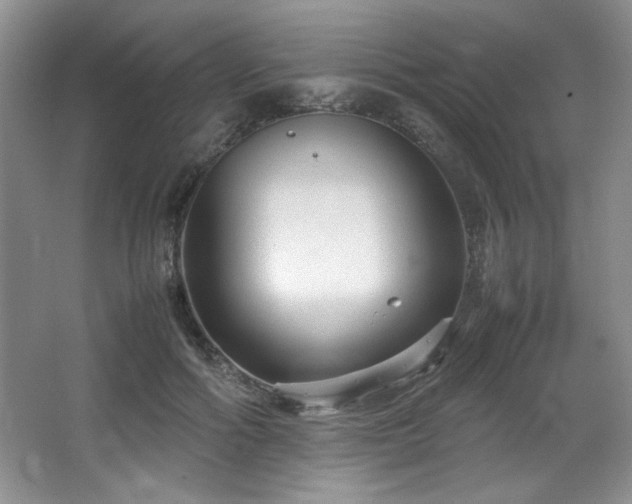 X0000066940602200603241144