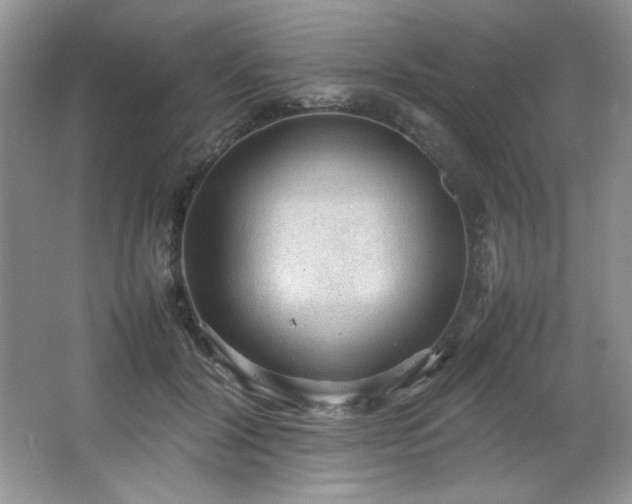 X0000066940604200603241144