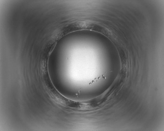 X0000066940605200603241144