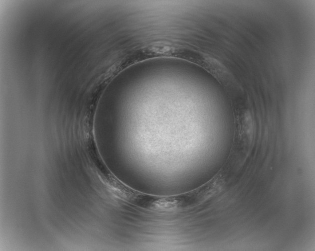 X0000066940606200603241144