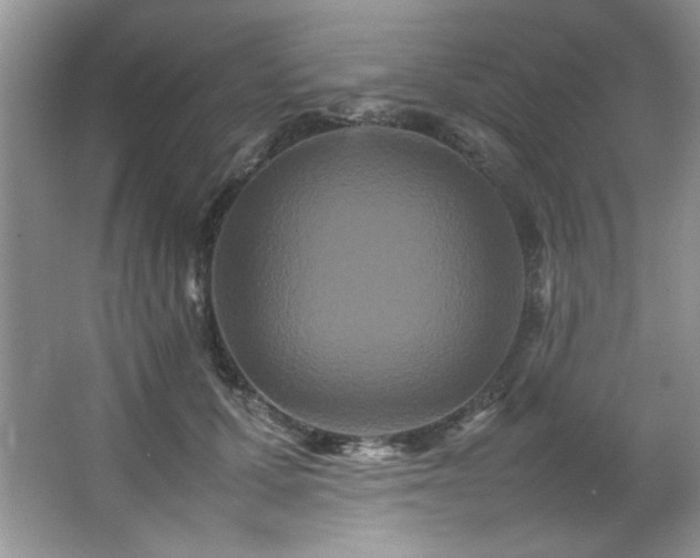 X0000066940607200603241144